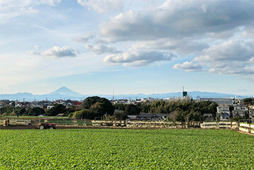 川島農園　丸徳農産