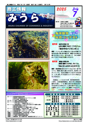 2025年07月
