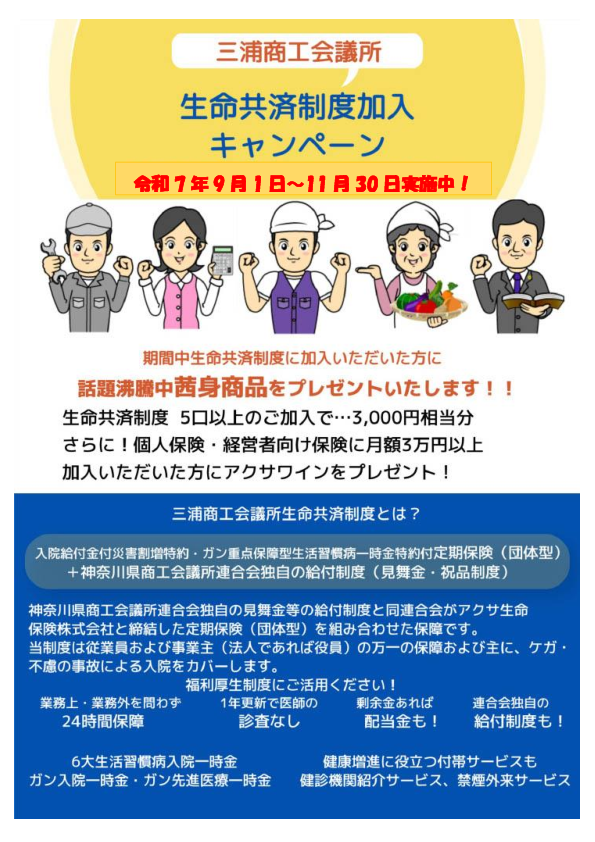 カラーチラシ.pdfのサムネイル画像